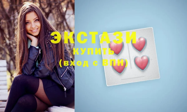 индика Вяземский