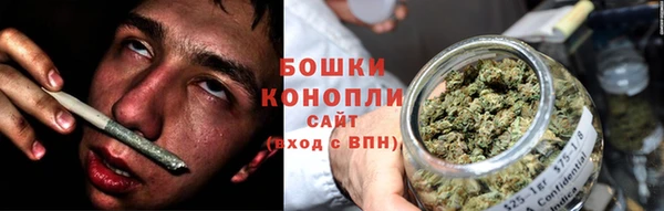 индика Вяземский