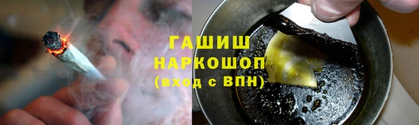 индика Вяземский