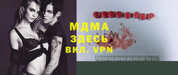 индика Вяземский