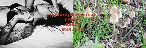 jwh Горно-Алтайск