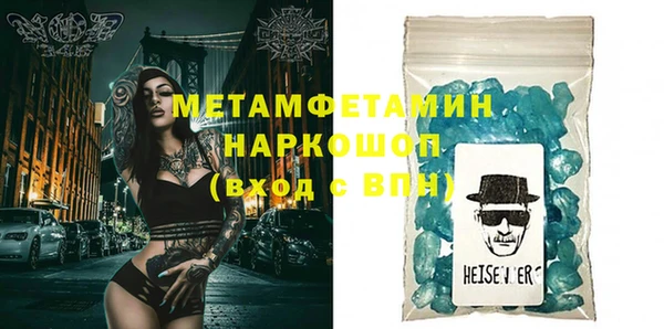 индика Вяземский