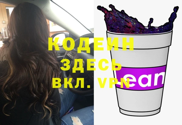 индика Вяземский