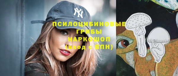 крисы Гусев
