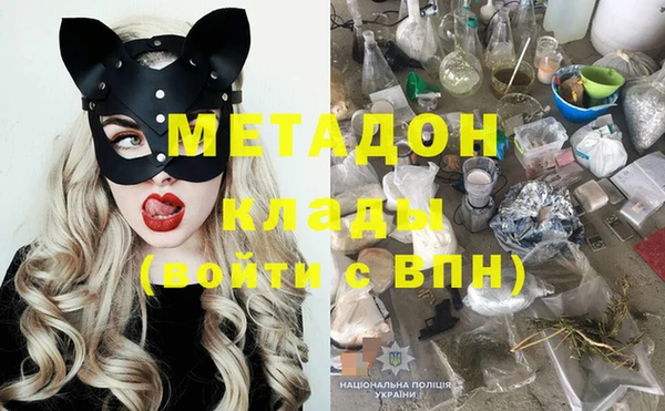 индика Вяземский